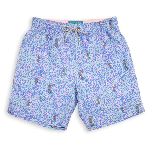 Men's Mesh Liner Swim Trunks - Rainbow Seahorses Aqua