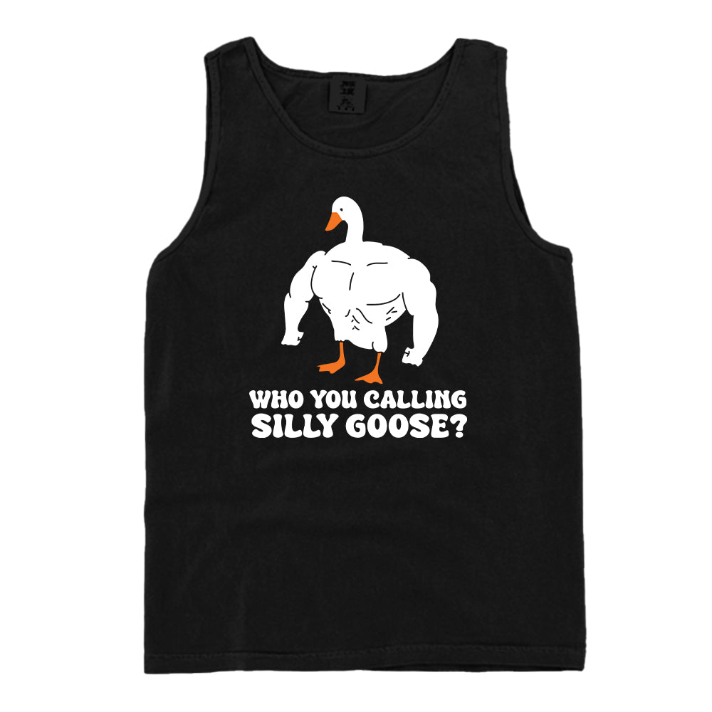 Who You Callin Silly Goose