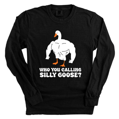 Who You Callin Silly Goose