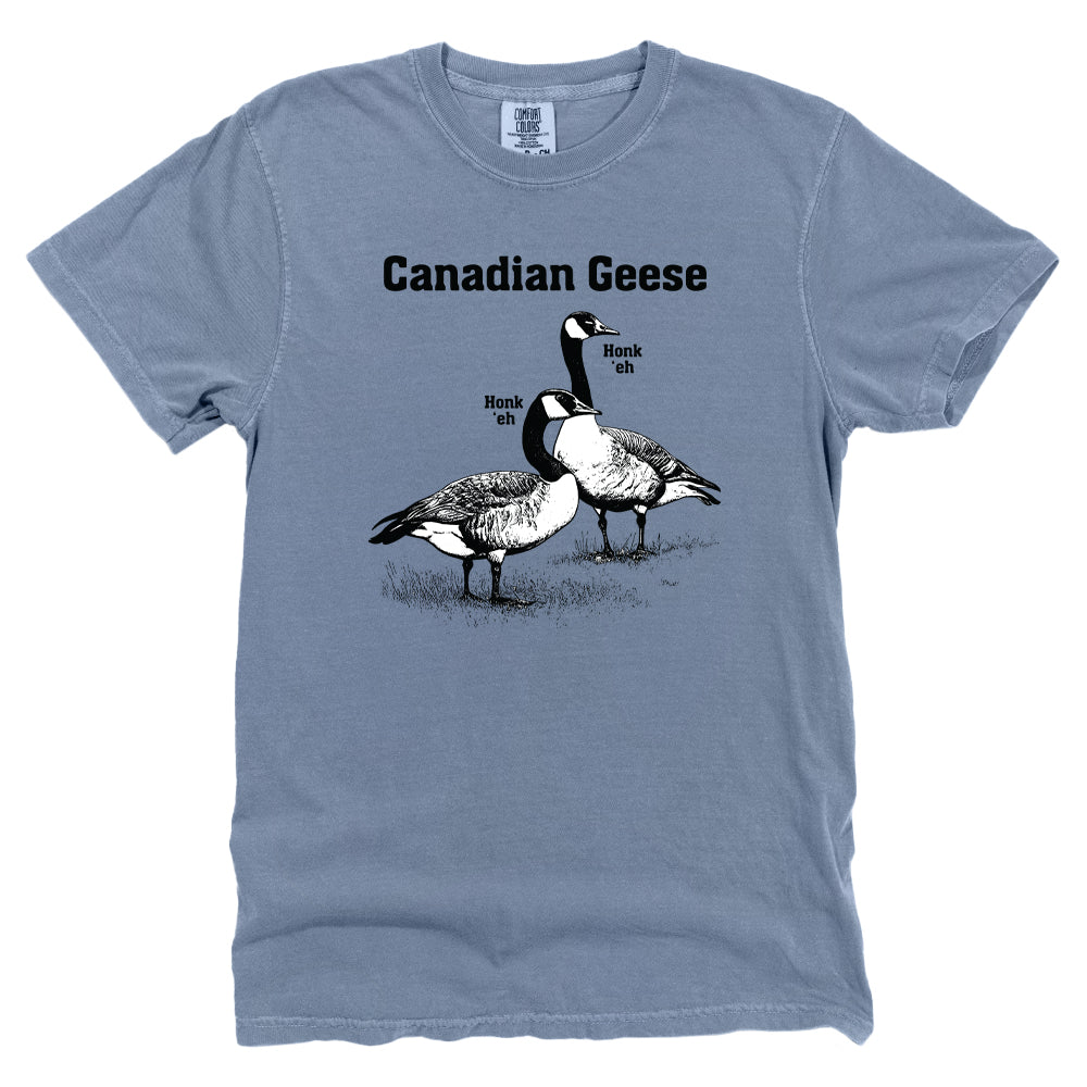 Canadian Geese