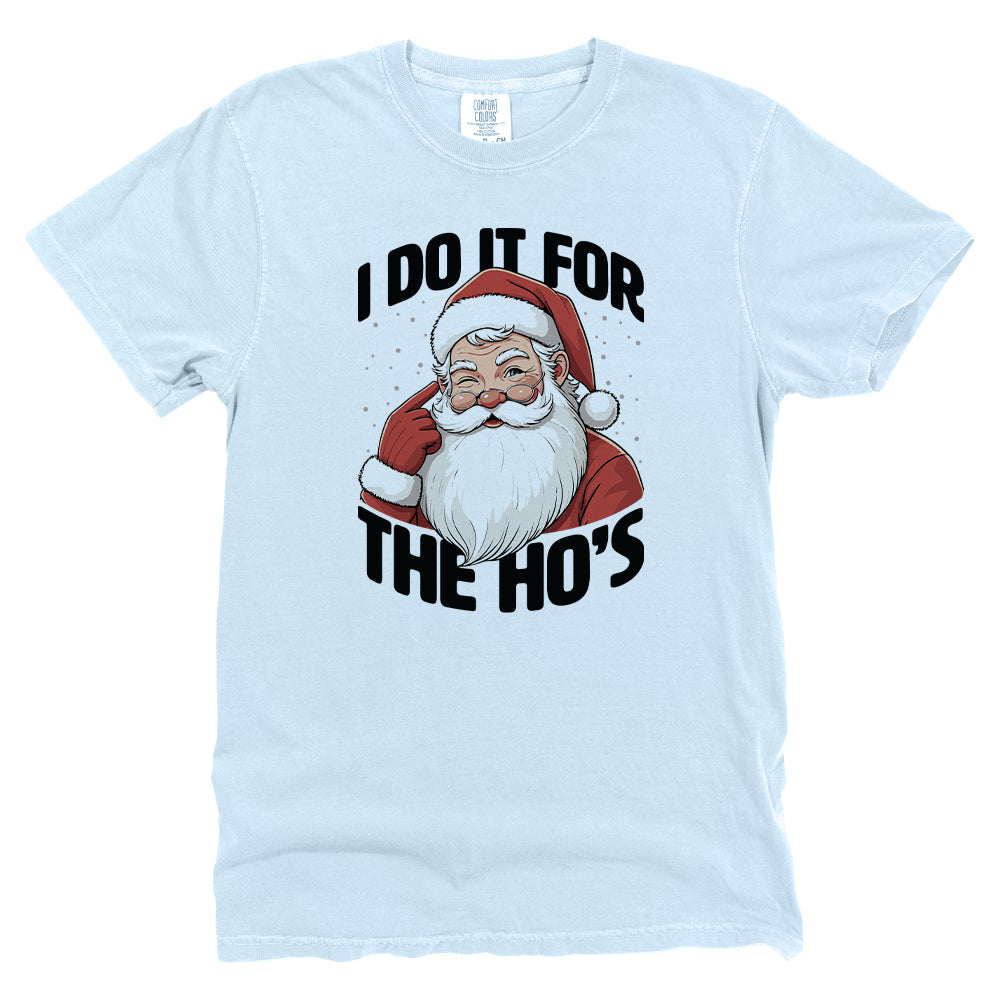 I Do It For The Ho's