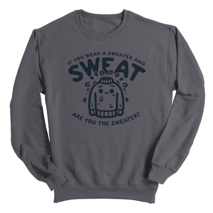 If You Wear a Sweater and Sweat Are You The Sweater