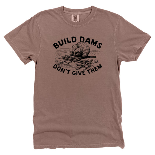 Build Dams Don't Give Them