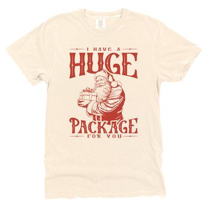 I Have a Huge Package For You