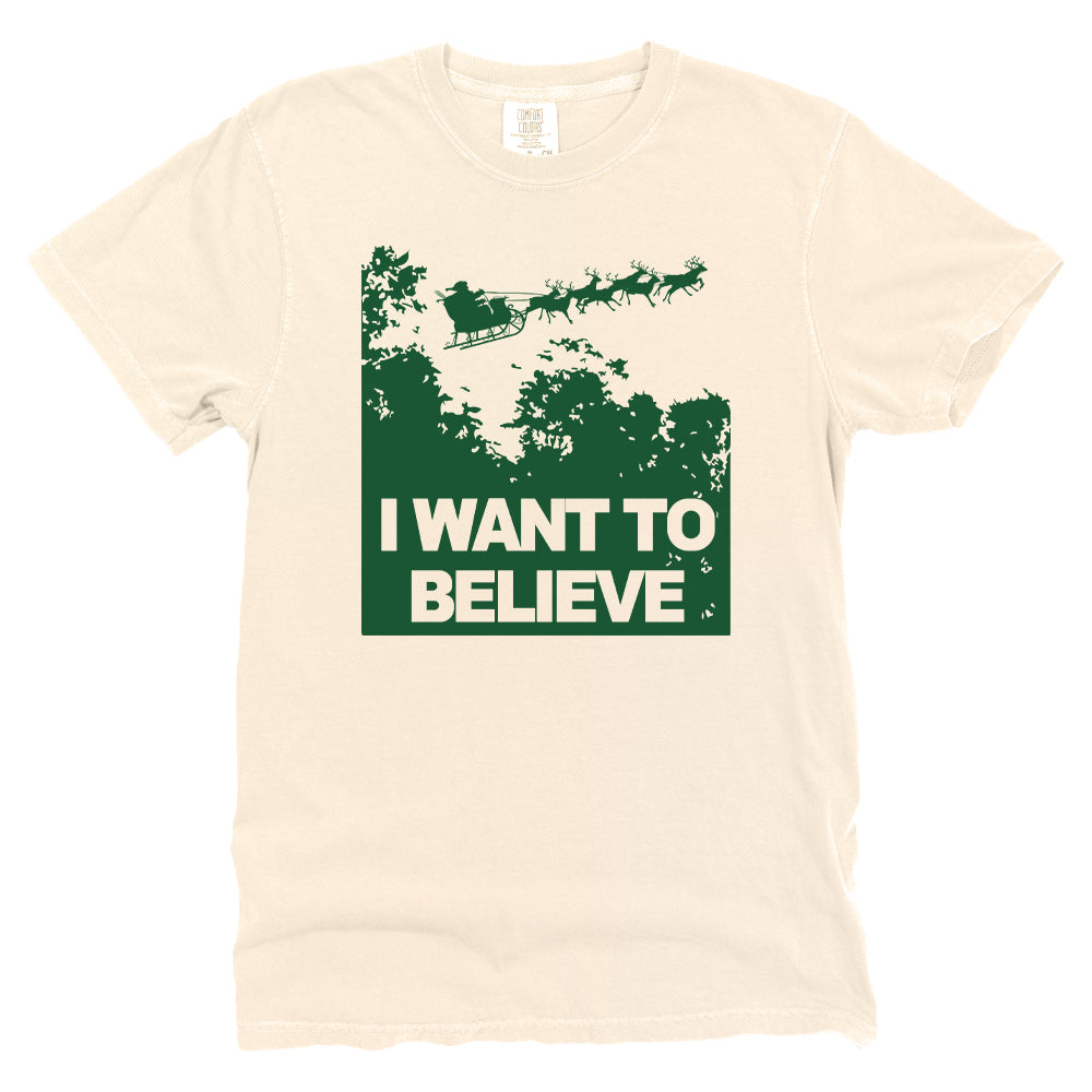 I Want to Believe in Santa (Green)