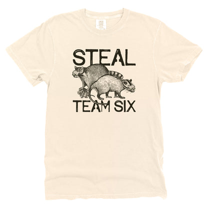 Steal Team Six