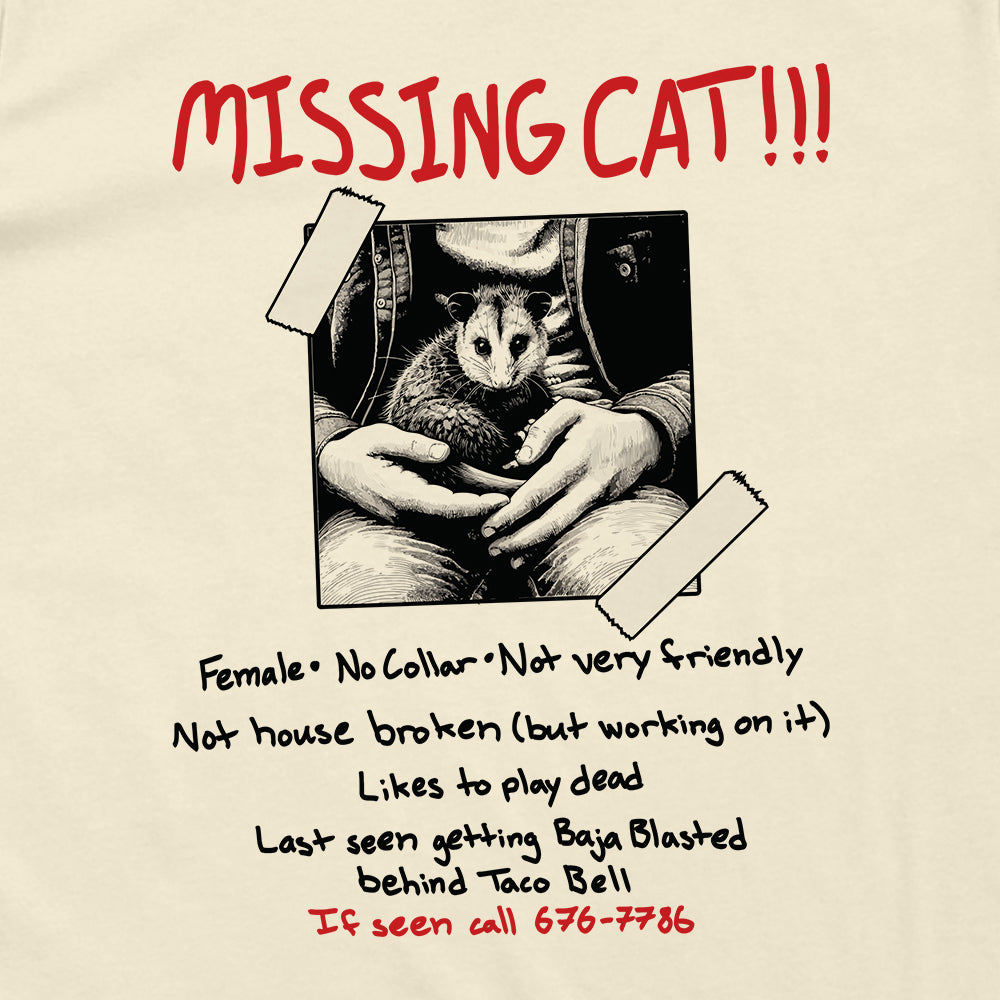 Missing Cat Poster