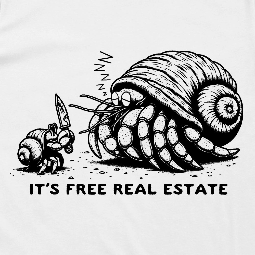 It's Free Real Estate Hermit Crab