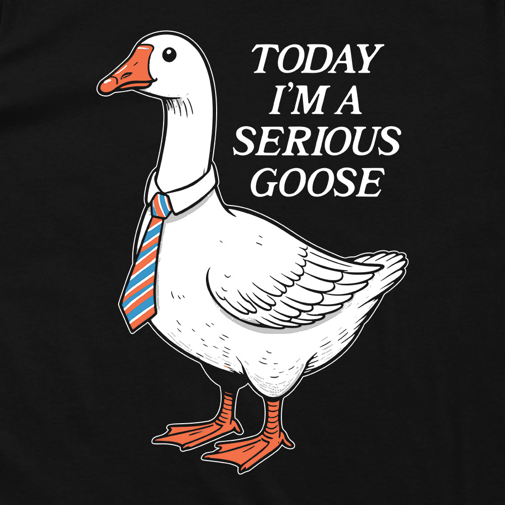 Today I'm a Serious Goose