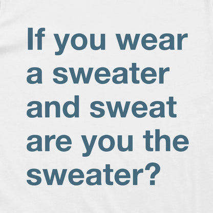 If You Wear a Sweater and Sweat are You The Sweater (Text Only)