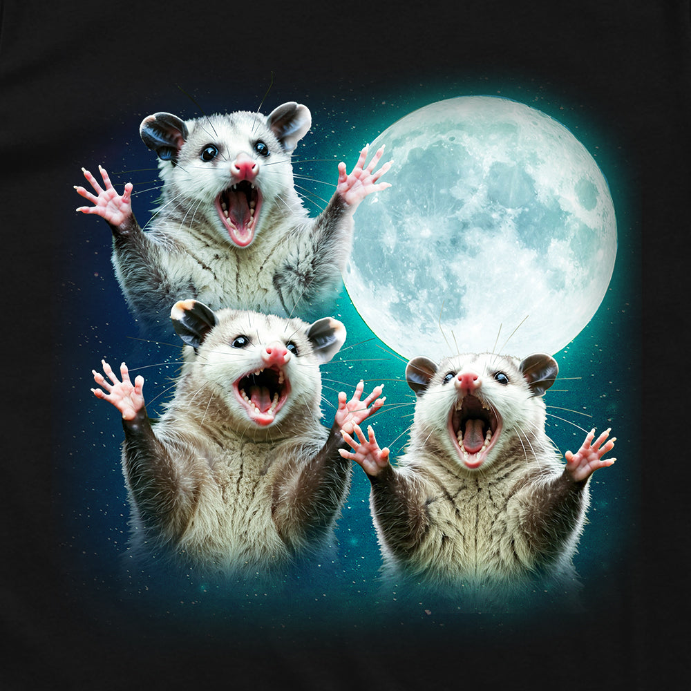 Possums Moon