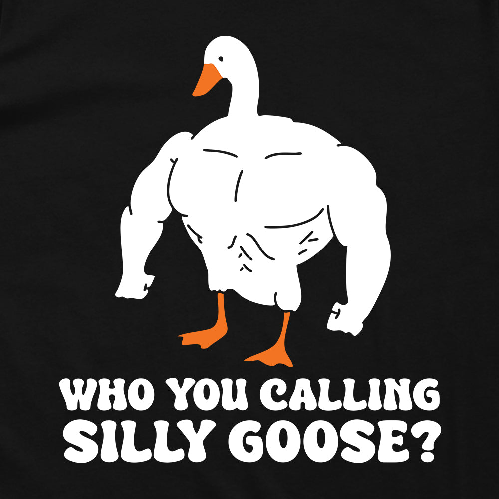 Who You Callin Silly Goose