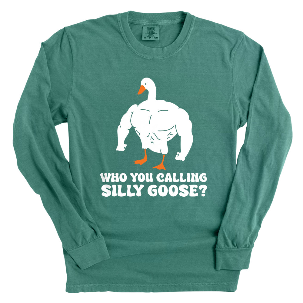 Who You Callin Silly Goose