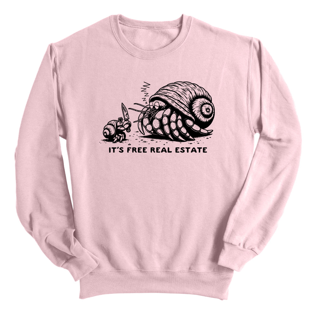 It's Free Real Estate Hermit Crab