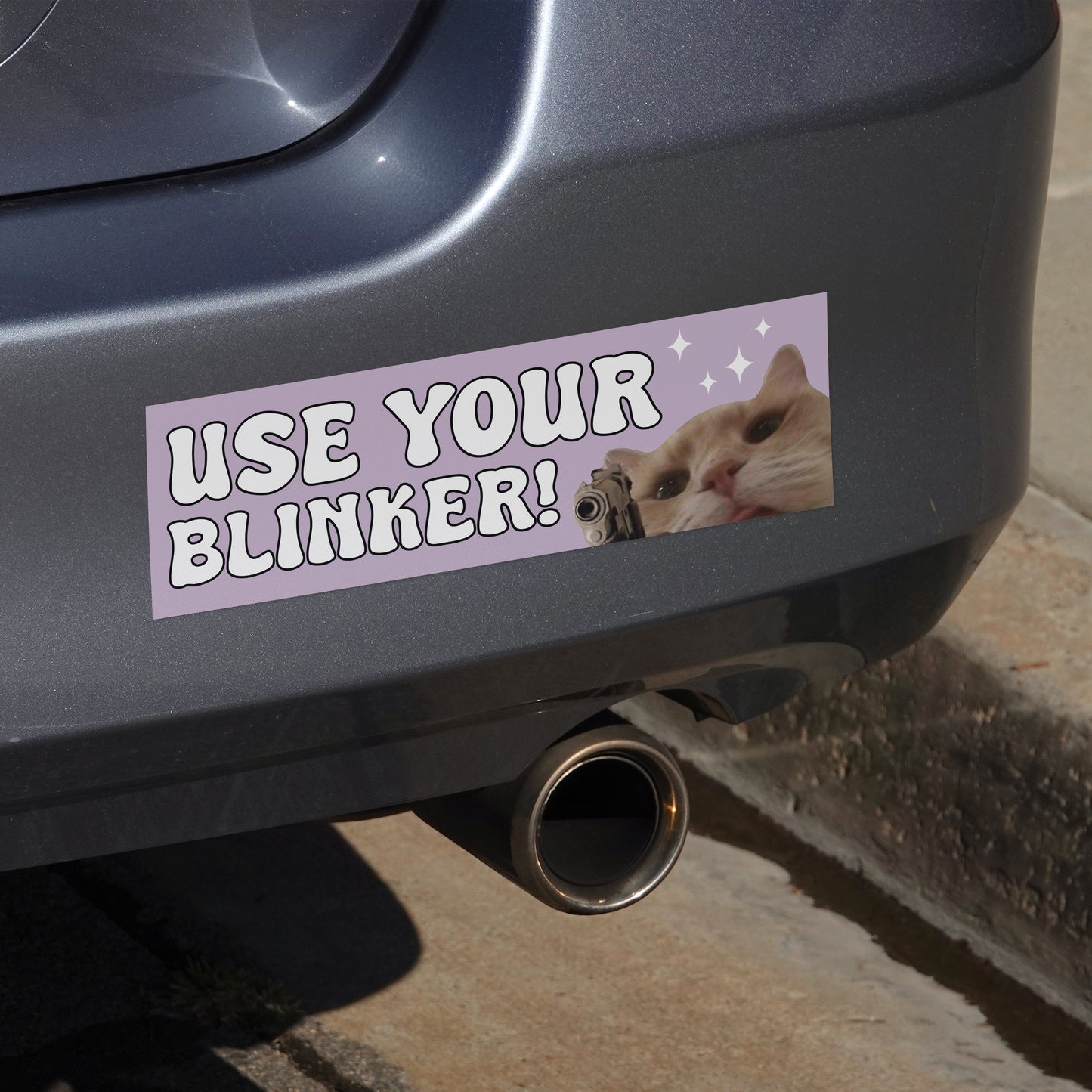 Use Your Blinker Cat (Bumper Sticker)